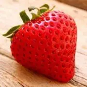 ぽんぽこ❤️宛名シール❤️の画像