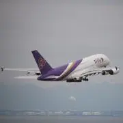 toyoの画像