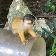 まさおの画像
