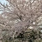 H2014の画像