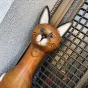 カナリアの北の画像