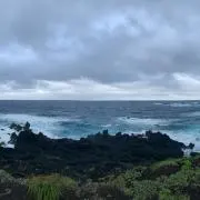 Renの画像