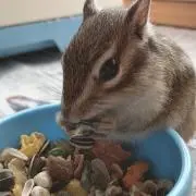 おしおの画像