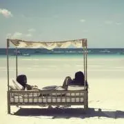 ろにむの画像