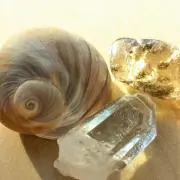 うぱこの画像