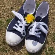♡コメント下さいの画像