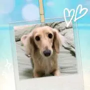 るぅこの画像