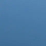 なかかいの画像