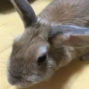 スプーンの画像