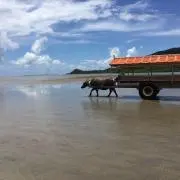 こうの画像