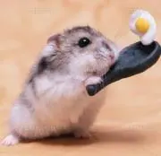 mimi☆引っ越しにつき大特価♪の画像