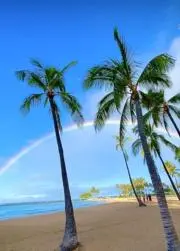 ラグーンの画像