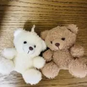 Bearの画像