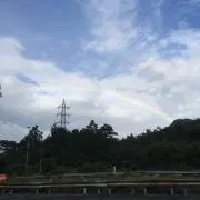 tsunaの画像