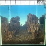 K【当日翌日発送】の画像