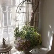 はるの画像