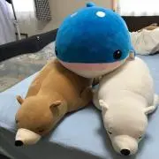 もとこの画像
