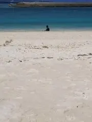 ぽかぽこの画像