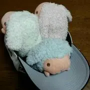 よすす