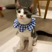 えり