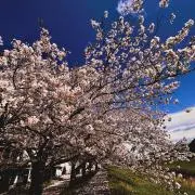 雨のち晴れ☀️の画像