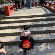ちぃりり