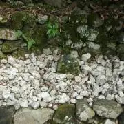 ななは