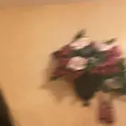 まーの画像