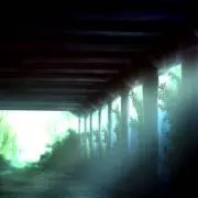 わからねえの画像
