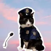 たか丸子の画像