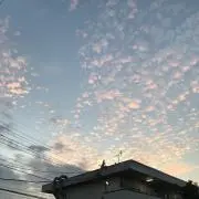 ミニマリストの画像