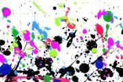 アッキーの画像