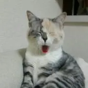 アンジェラ♪プロフ必読！値下げ交渉可♪の画像