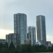ナナの画像