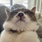 たー