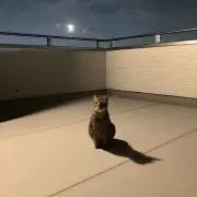 もの画像