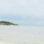 JJの画像