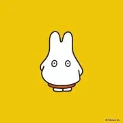 R※発送は週末のみの画像