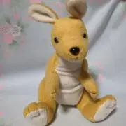 からすばあの画像