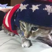 たぷみの画像