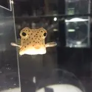 Mの画像