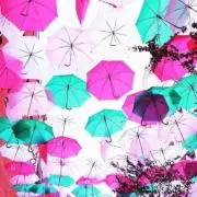 ゆんの画像