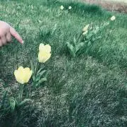 aiの画像