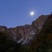 るるぶ