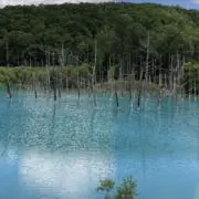 柴太郎の画像