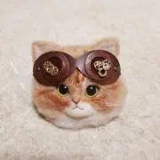 はるあやの画像