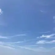 めの画像