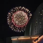 みかんの画像