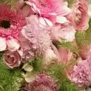candyの画像