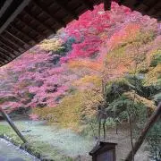 みよちゃんの画像